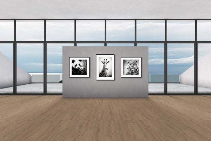 PRO PLAN. Submit 20 works of art. Exhibit in 1 customized Virtual Gallery solo show.