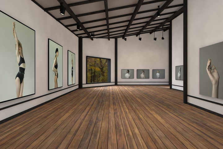 BASIC PLAN. Submit 5 works of art. Exhibit in one 3D Virtual Gallery group exhibition.