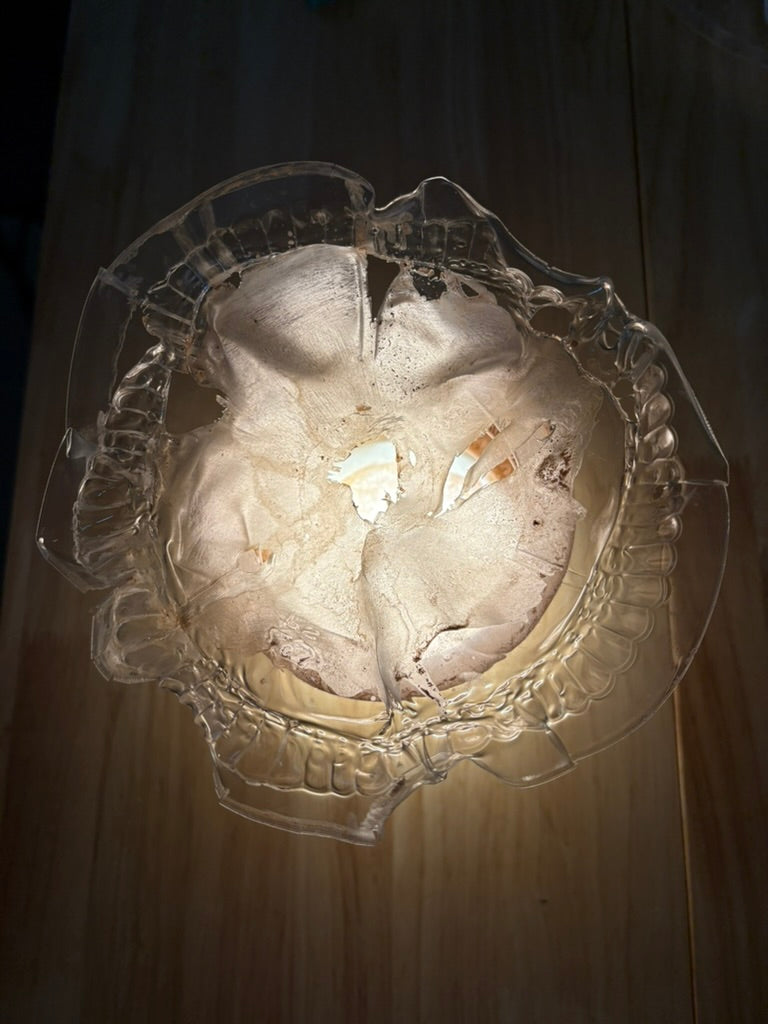 KiteraLights - Handmade in NYC