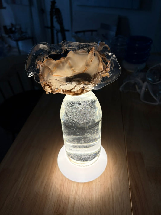Glass Medusa